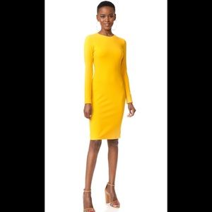 Susana Monaco Emma long sleeve dress size S